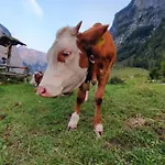 In Der Alpenresidenz Mit Einem Faszinierenden Ausblick Berchtesgaden
