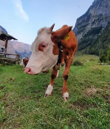 In Der Alpenresidenz Mit Einem Faszinierenden Ausblick Berchtesgaden