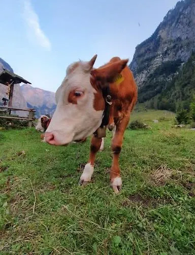 In Der Alpenresidenz Mit Einem Faszinierenden Ausblick Berchtesgaden